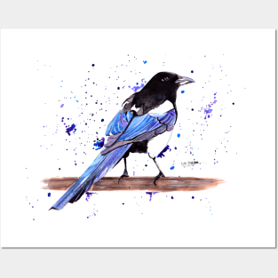 Magpie Posters and Art